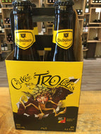 Dubuisson Cuvee des Trolls Blonde 4 pk