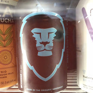 Aslan Dawn Patrol Pale Ale - singles