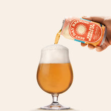 Endless Mango IPA - 6 Pack