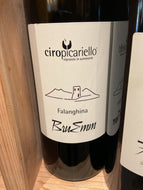 Ciro Picariello ‘24 Falanghina BruEmm