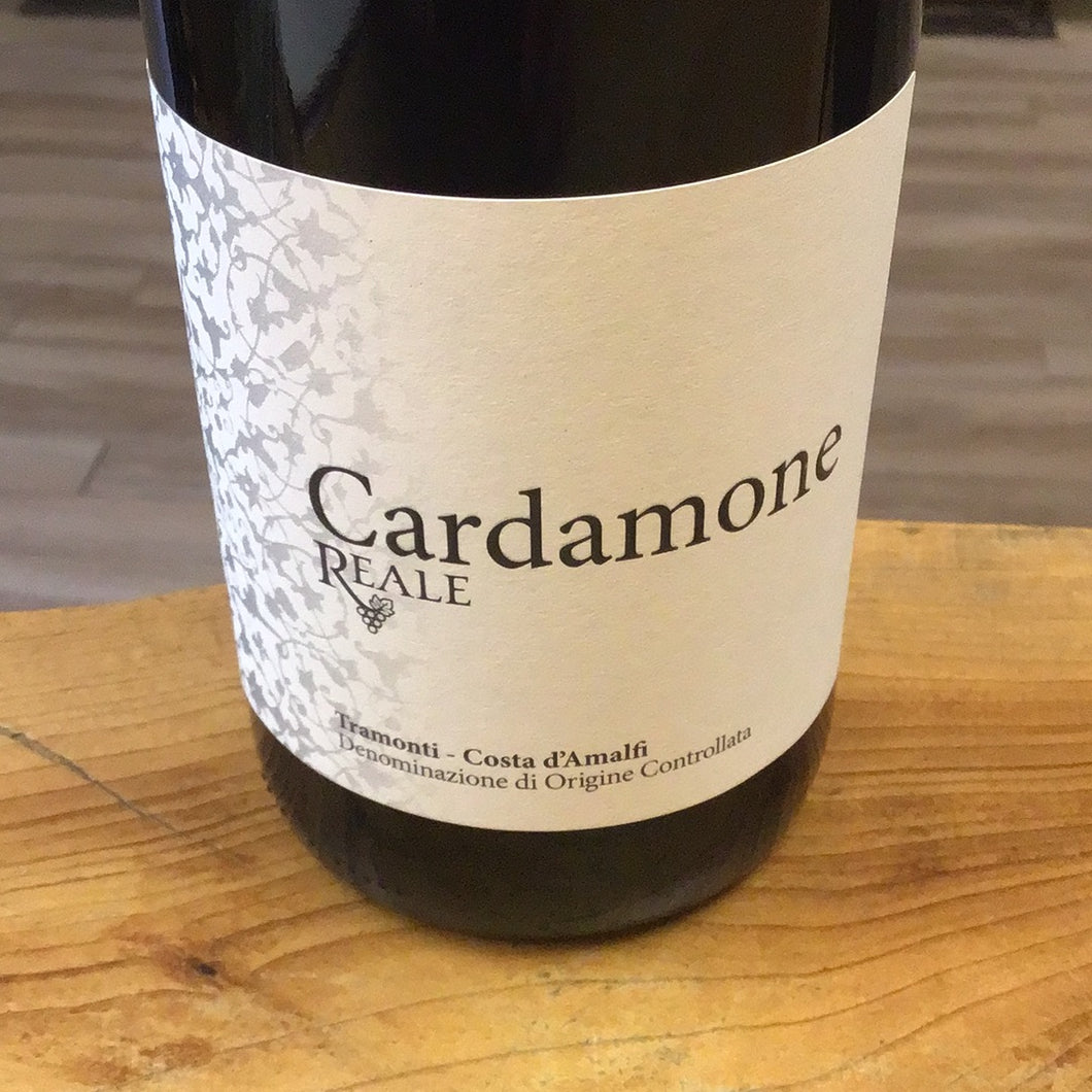 Reale ‘19 Cardamome red